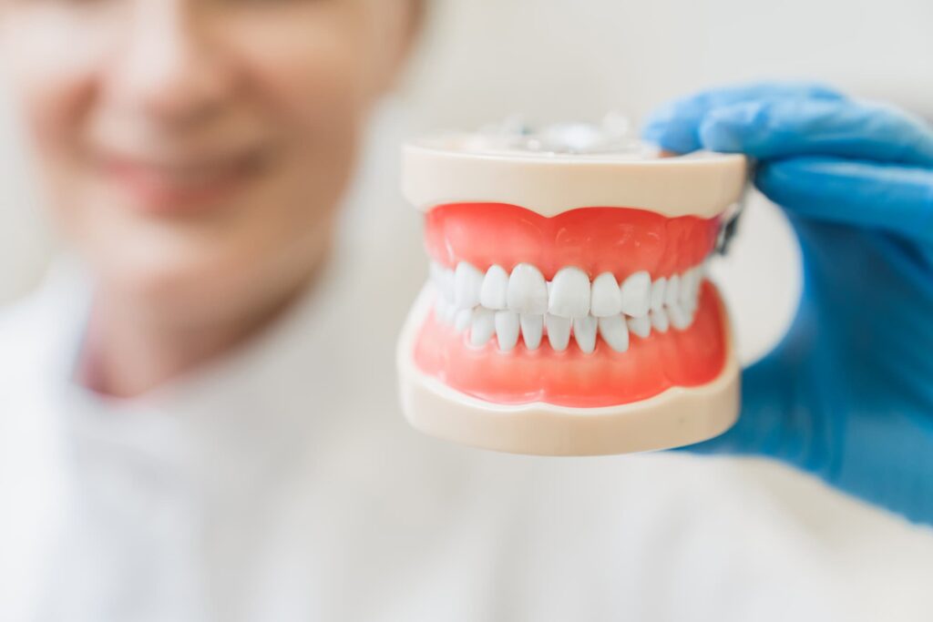 Dentist holding full denture model
